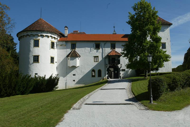 mastnak_velika22