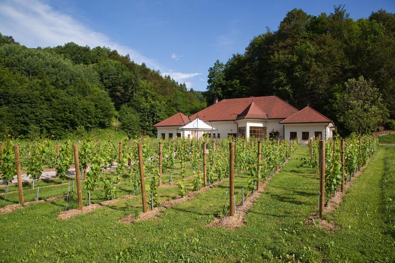 posestvo-krakovo35_velika