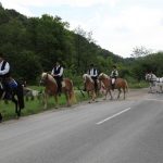 vinska-klet-mastnak11_velika